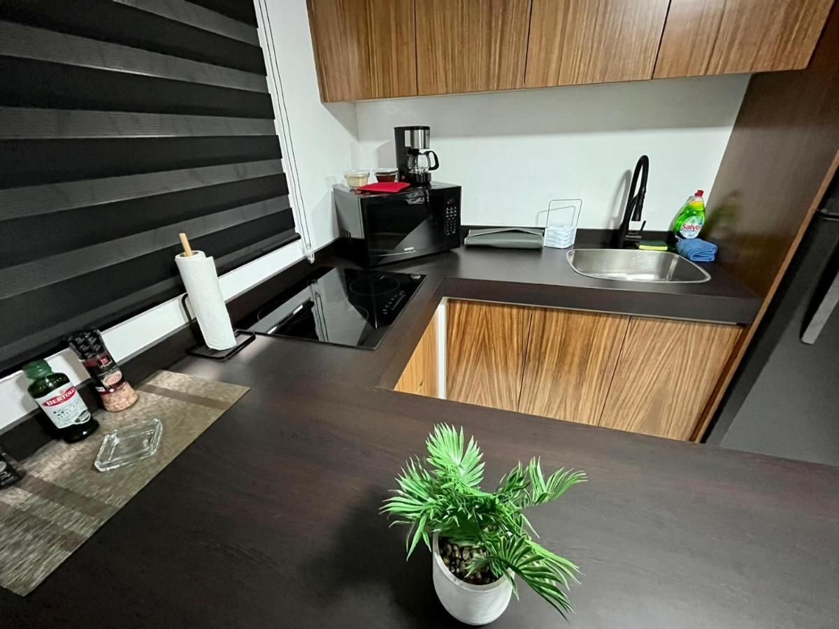 Ahau Playa Otel Playa del Carmen Dış mekan fotoğraf